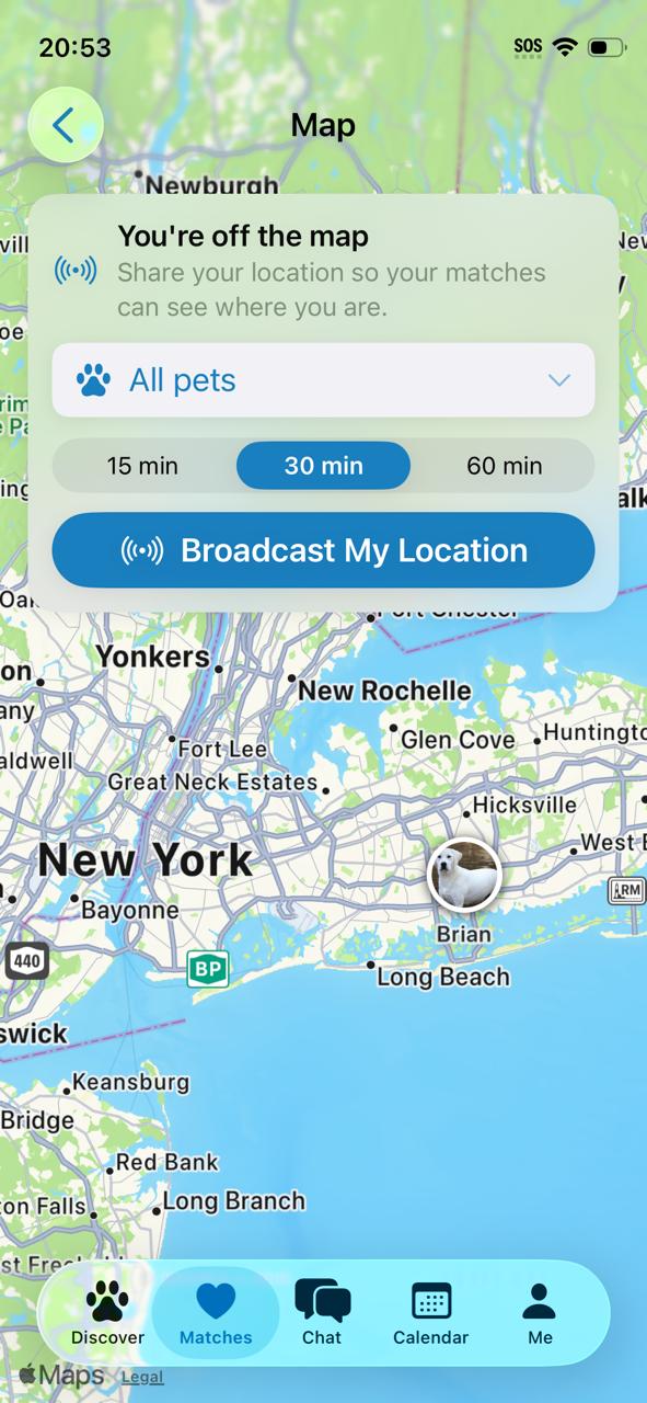 Live map