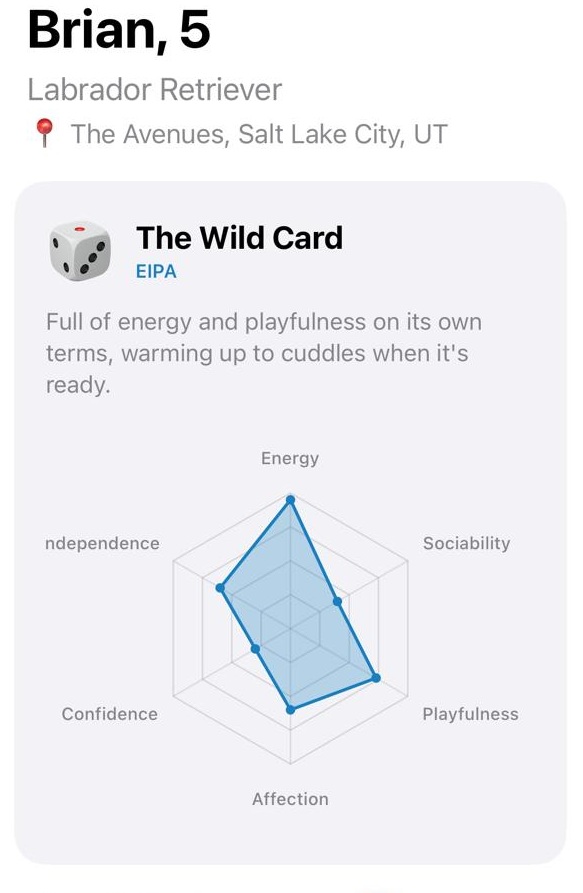 Pet personality hexagon