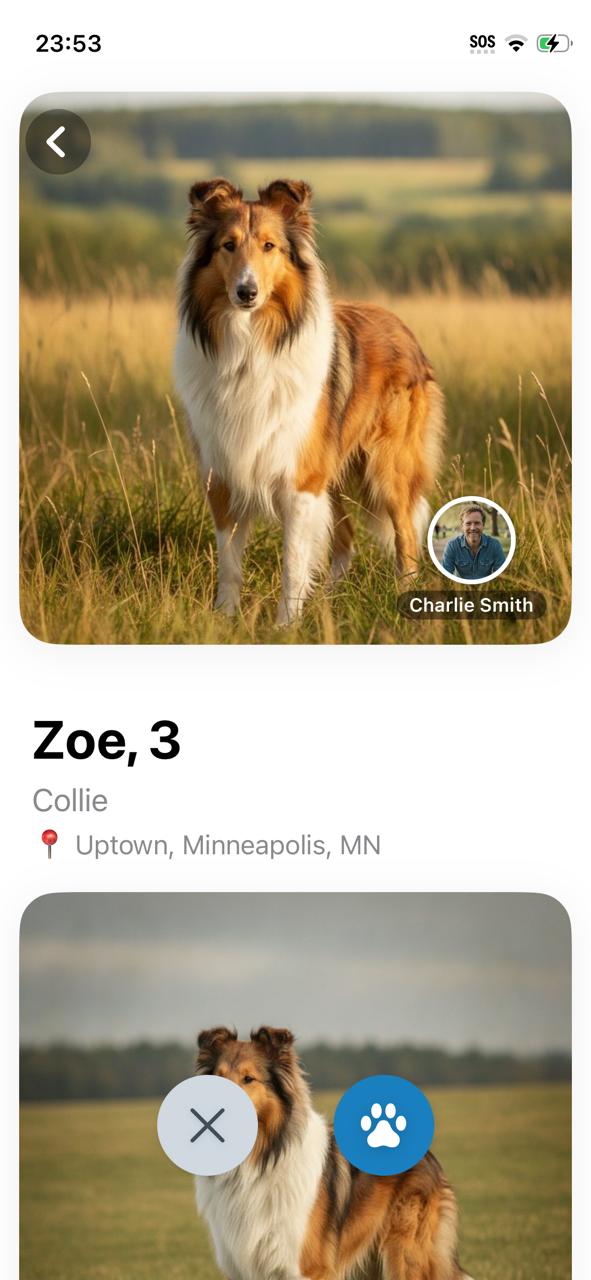 Pet profile card
